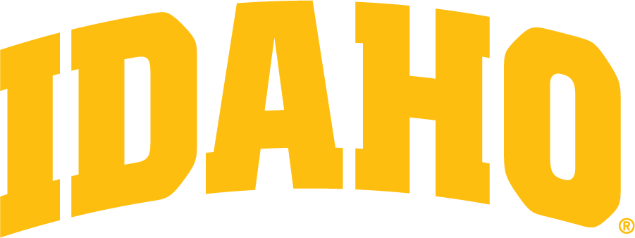 Idaho Vandals 2019-Pres Wordmark Logo v4 diy iron on heat transfer
